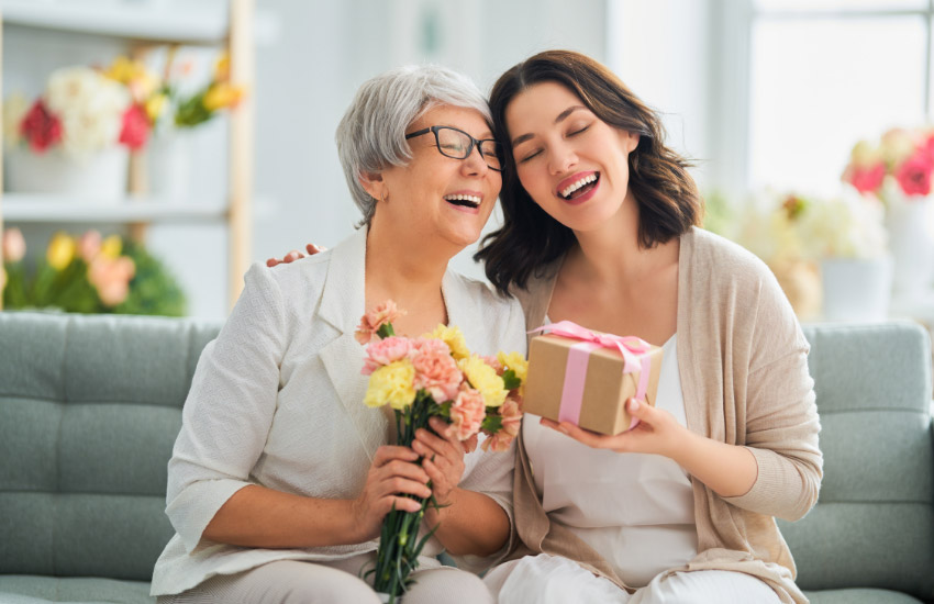 shopierarticle